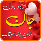 Jaan Urdu Novel by Shaheena Chanda Mehtab icône