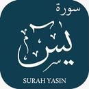 Surah Yaseen (يس‎) Surat Yasin APK