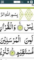 Surah Yaseen (يس‎) Surat Yasin スクリーンショット 3