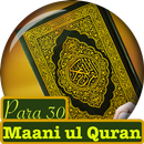 PARA # 30 Maani Ul Quran Urdu APK