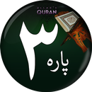 Para # 3 - Juz' Tilkal Rusull  APK