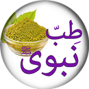 Tib e Nabvi se Ilaj in Urdu -  APK
