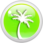 Palmiye Serbest Meslek Makbuzu icon