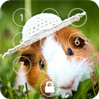 Cute Guinea Pig Wallpaper Full HD Home Lock Screen icône