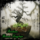 Icona Bonsai Panduan Lengkap