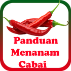 Panduan Menanam Cabai ikona