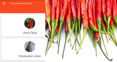 Guide to Planting Chili পোস্টার