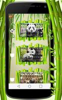 پوستر Panda Keyboard