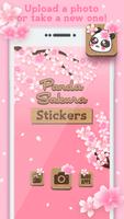 Panda Sakura poster