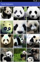 Panda Wallpapers スクリーンショット 1