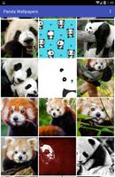 Panda Wallpapers syot layar 2
