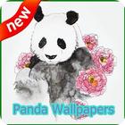 Panda Wallpapers ícone