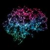 Think Better APK