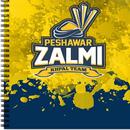 Peshawar Zalmi Live Updates APK