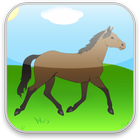 Horse Games Free icon