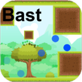 Bast