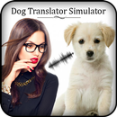 Dog Translator Simulator aplikacja