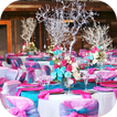 Party Design Decor