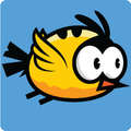 Bird's Quest