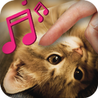 Pat The Relax Cat Simulator icon