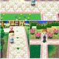 Path and Patterns for Animal Crossing