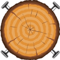 Nailed Wood