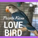 Pecinta Love Bird 2017 APK