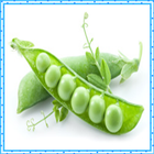 New Pea Onet Connect Game icon