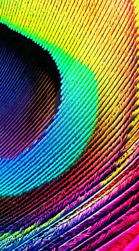 Peacock Wallpaper APK for Android Download Peacock Wallpaper APK for Android Download