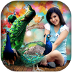 Peacock Photo Editor : Peacock Photo Frame 2018