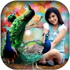 Peacock Photo Editor : Peacock Photo Frame 2018 icono