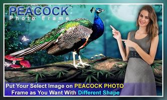 Peacock Dual Photo Frames plakat