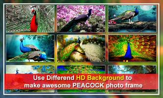 Peacock Dual Photo Frames screenshot 2