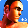 Kungfu Punch CN