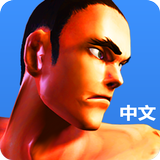 Kungfu Punch CN icon