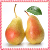 New Pear Fruit Onet Game APK