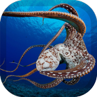 Octopus Wallpaper biểu tượng