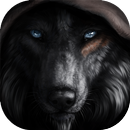 Black Wolf Wallpaper APK