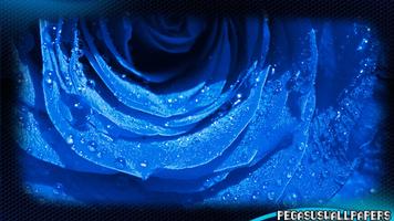 Blue Roses Wallpaper 스크린샷 2