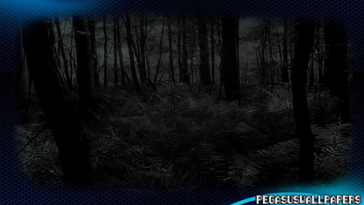 5000 Wallpaper Black Forest HD Terbaik 5000 Wallpaper Black Forest HD Terbaik