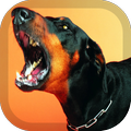 Doberman Pack 2 Wallpaper