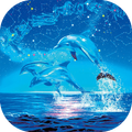 Dolphin Wallpaper