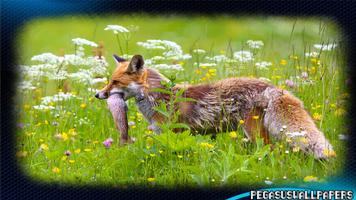 Fox Pack 2 Wallpaper 截圖 3