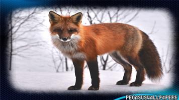 Fox Pack 2 Wallpaper 截圖 1