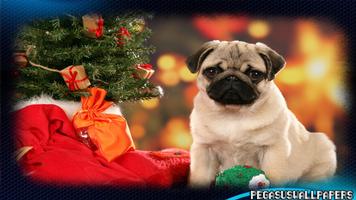 1 Schermata Pug wallpaper