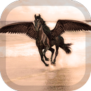 APK Dark Pegasus Wallpaper