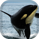 Submarine Wallpaper icon