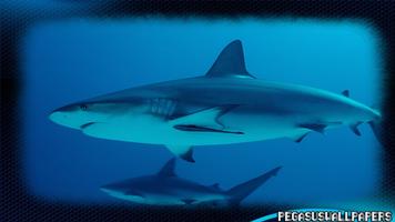 Shark Wallpaper gönderen