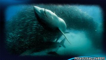 Shark Wallpaper Ekran Görüntüsü 1