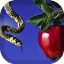 APK Snake Wallpaper